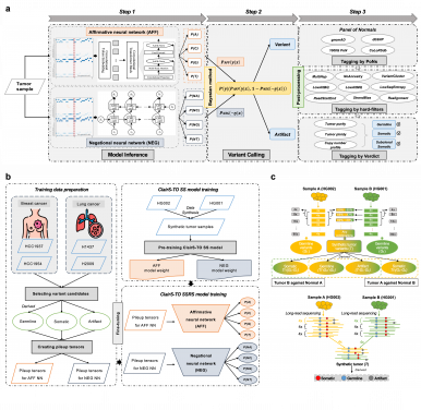 Researchers from HKU Engineering Develop Deep-learning Tools to Transform Cancer Diagnosis and Genomic Research 